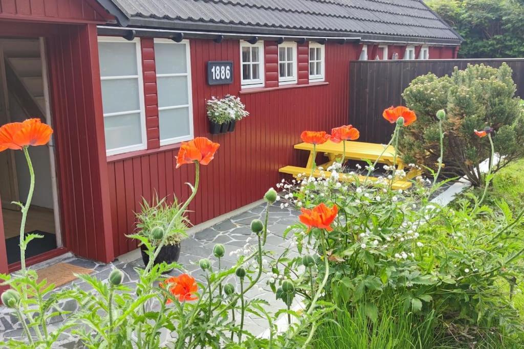 Cozy Cottage Klaksvík المظهر الخارجي الصورة