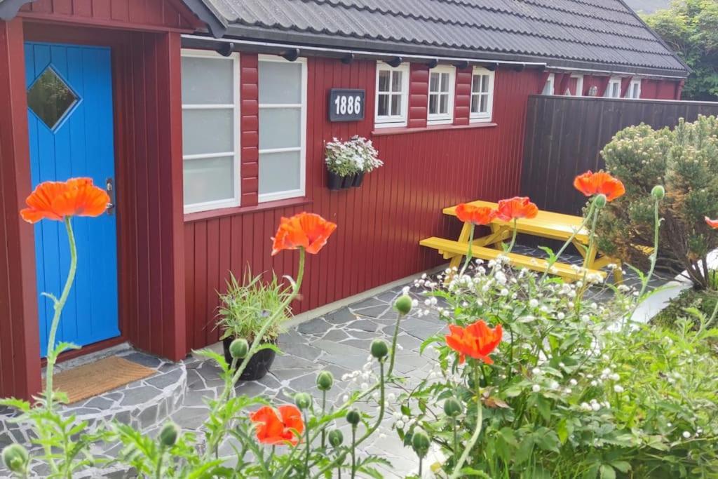 Cozy Cottage Klaksvík المظهر الخارجي الصورة